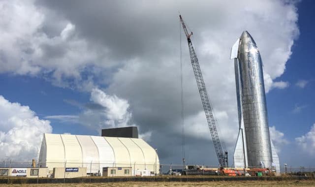 Bacteria consuming carbon dioxide