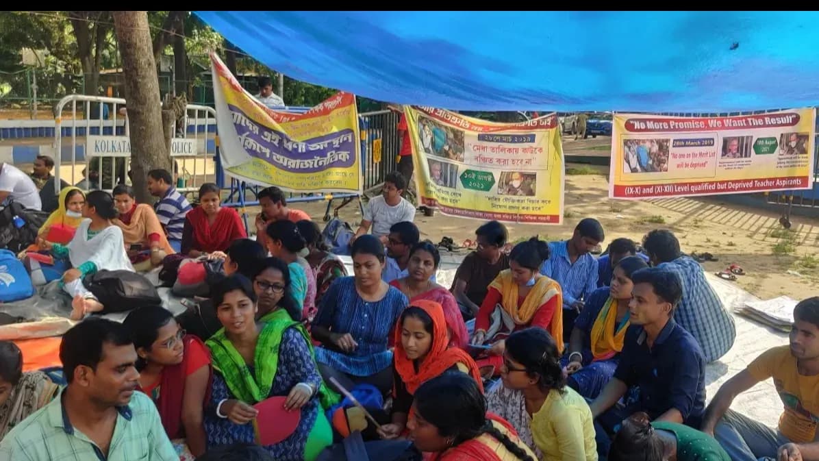 large-scale irregularities and fraud.