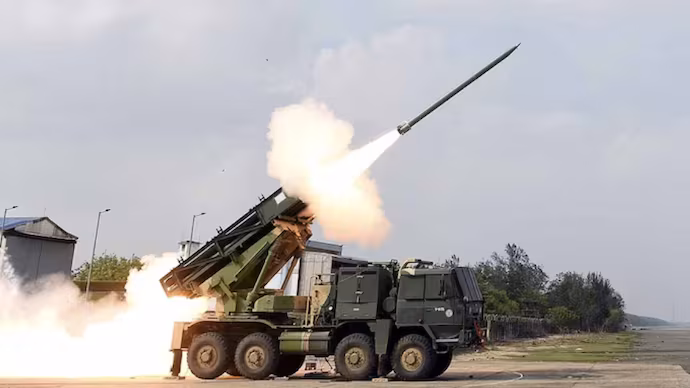 large-scale killing of street dogs