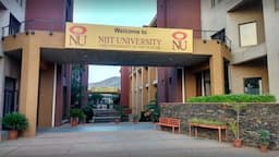NIIT University