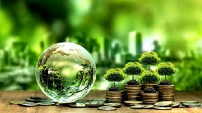 RBI Announces Green Bonds for Climate Financing