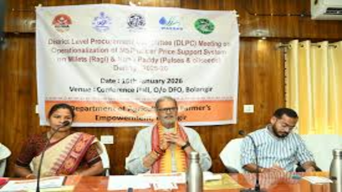 Parliamentary Panel Reviews MSP Procurement Mechanism