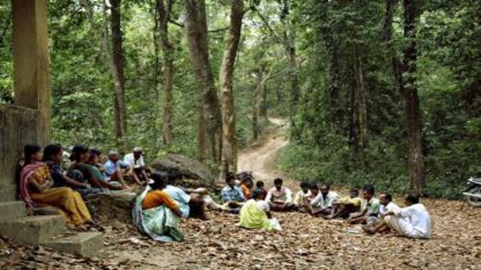 Parliamentary Panel Flags Gaps in Implementation of Forest Rights Act