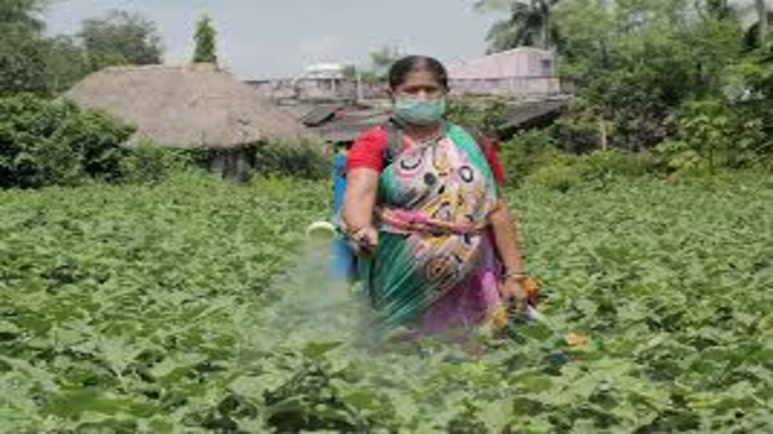 Gender Inequality in Indian Agriculture Highlighted by New Studies