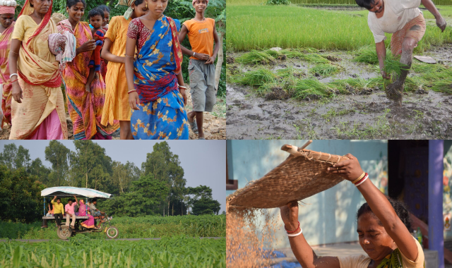 West Bengal's Agrarian Shift: Embracing Crop Diversity for Sustainability