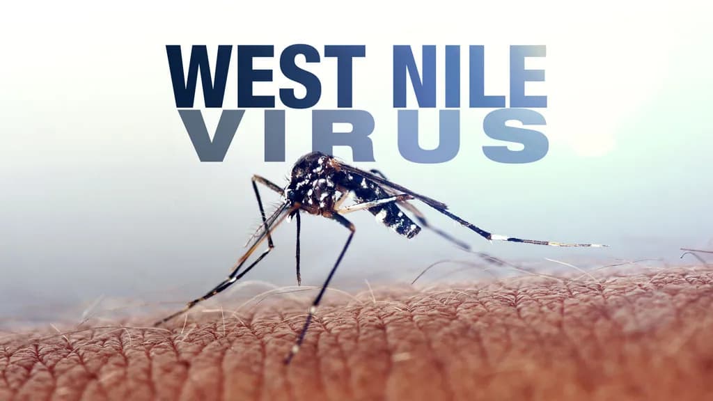 Kerala West Nile fever: State govt issues alert after rise in number of cases