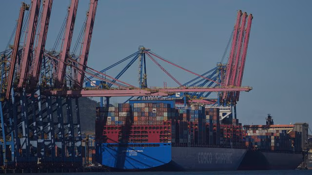 eight India-based companies