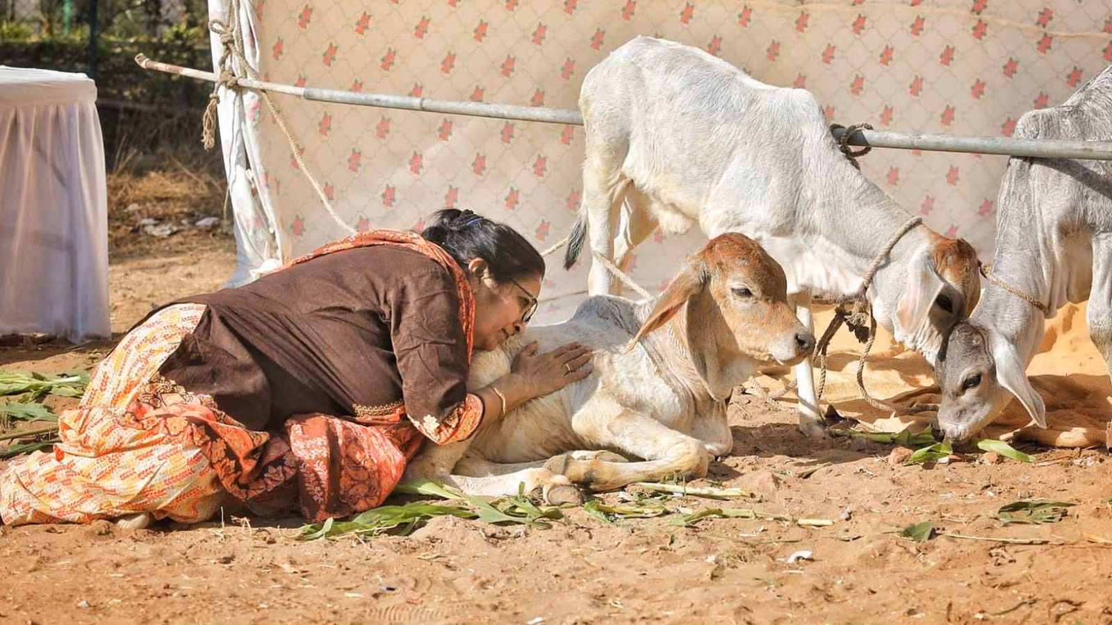 Madhya Pradesh government