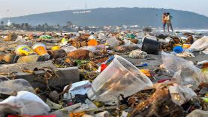 India Ratifies Global Plastic Waste Treaty